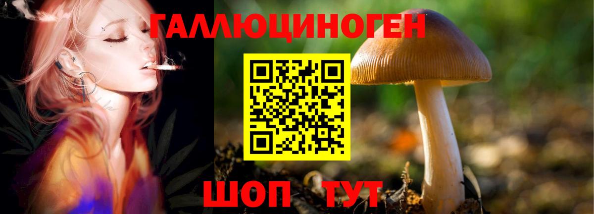Галлюциногенные грибы прущие грибы Десногорск